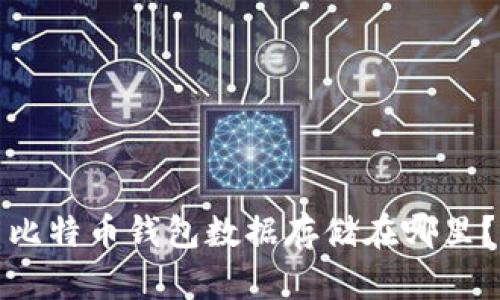 比特币钱包数据存储在哪里?