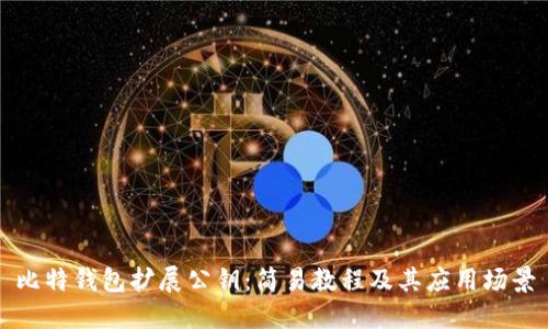 比特钱包扩展公钥:简易教程及其应用场景