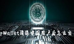 tpWallet清退中国用户后怎么