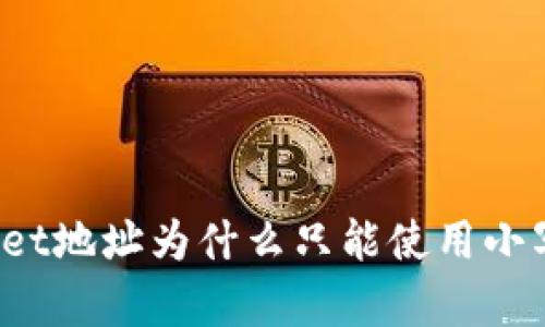 tpWallet地址为什么只能使用小写字母?
