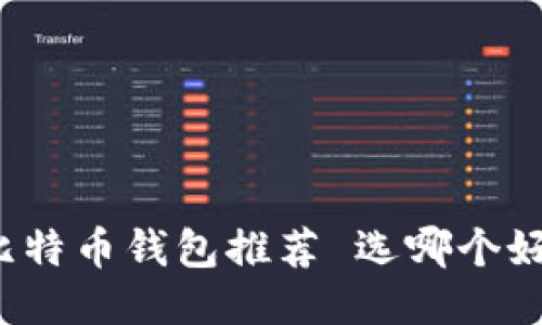 比特币钱包推荐 选哪个好?