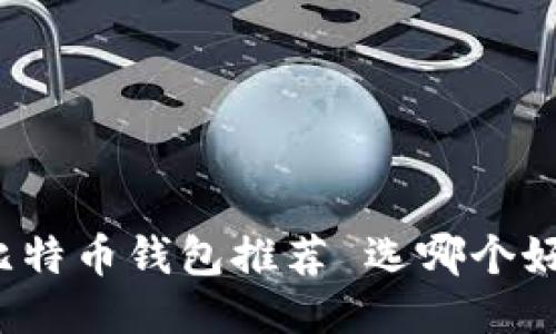 比特币钱包推荐 选哪个好?