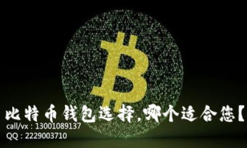 比特币钱包选择,哪个适合您?