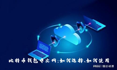 比特币钱包中文网:如何选择、如何使用