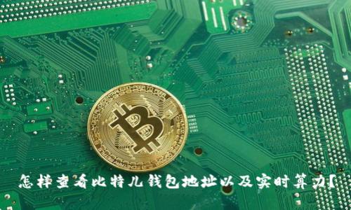 怎样查看比特儿钱包地址以及实时算力?