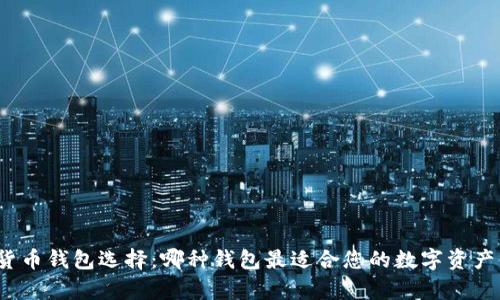 数字货币钱包选择:哪种钱包最适合您的数字资产储存?