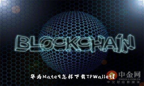 华为Mate9怎样下载TPWallet?