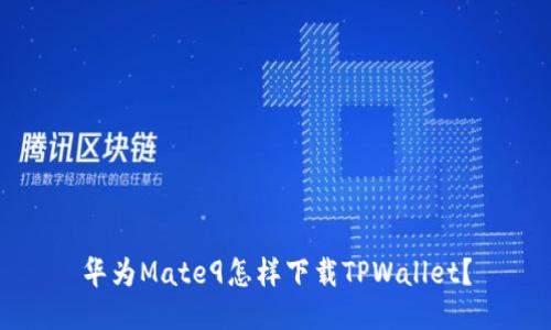 华为Mate9怎样下载TPWallet?