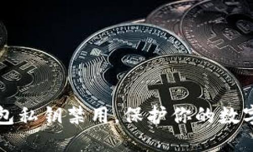 莱特币钱包私钥禁用,保护你的数字资产安全