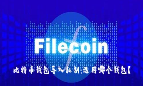 比特币钱包导入私钥:选用哪个钱包?