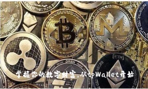 掌握你的数字财富,从tpWallet开始