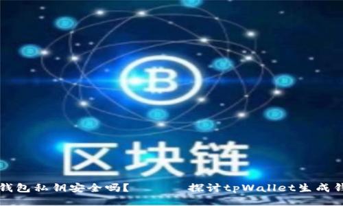 tpWallet生成的钱包私钥安全吗? —— 探讨tpWallet生成钱包私钥的安全性