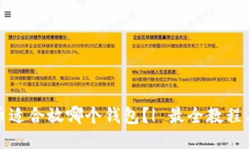 WFC币适合放哪个钱包?| 最全教程与推荐