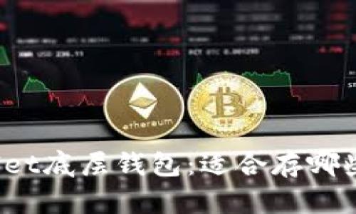 tpWallet底层钱包:适合存哪些币种?