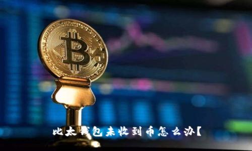 比太钱包未收到币怎么办?