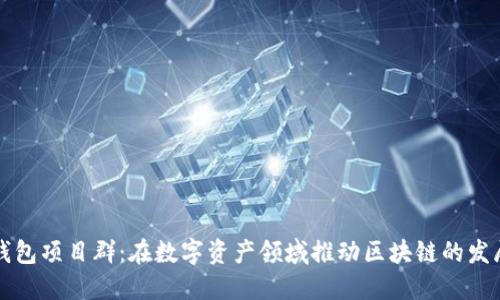 钱包项目群:在数字资产领域推动区块链的发展