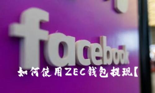 如何使用ZEC钱包提现?