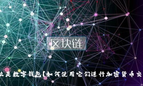 什么是数字钱包?如何使用它们进行加密货币交易?