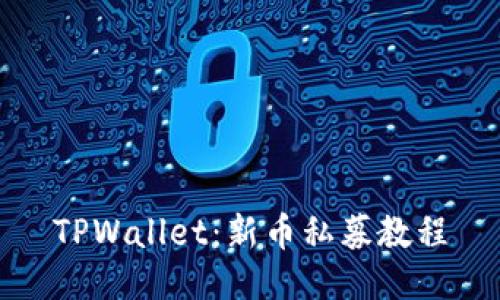 TPWallet:新币私募教程