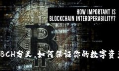 冷钱包BCH分叉，如何保证