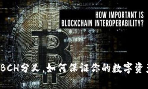 冷钱包BCH分叉,如何保证你的数字资产安全?