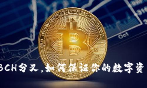 冷钱包BCH分叉,如何保证你的数字资产安全?