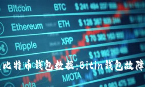 如何恢复比特币钱包数据:Bitin钱包故障排除指南