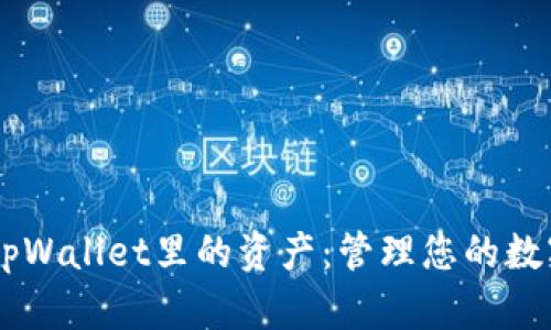 了解tpWallet里的资产:管理您的数字资产