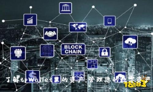 了解tpWallet里的资产:管理您的数字资产