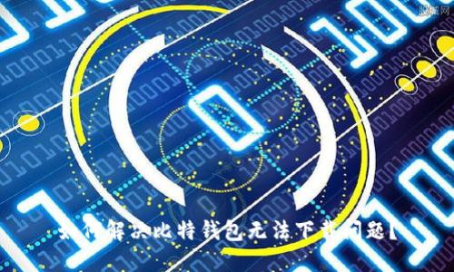 如何解决比特钱包无法下载问题?