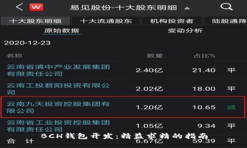BCH钱包开发:精益求精的指南