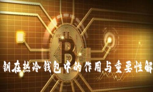 私钥在热冷钱包中的作用与重要性解析