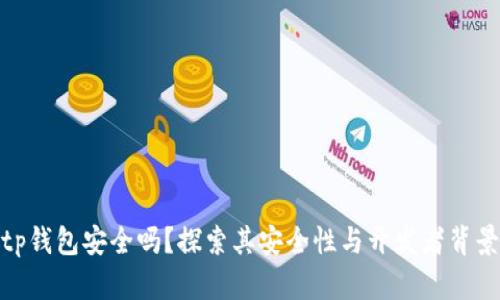 tp钱包安全吗?探索其安全性与开发者背景