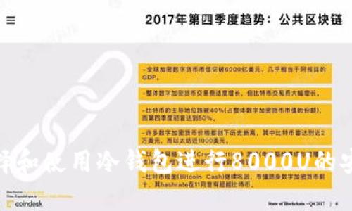 如何选择和使用冷钱包进行8000U的安全存储