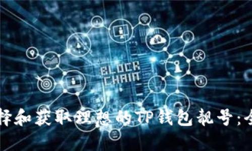 如何选择和获取理想的TP钱包靓号:全面指南