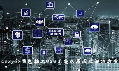 Ledger钱包插上USB不亮的原因及解决方案