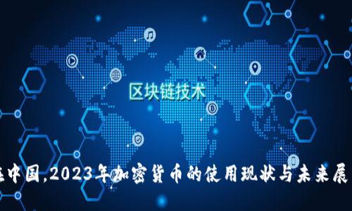 在中国,2023年加密货币的使用现状与未来展望