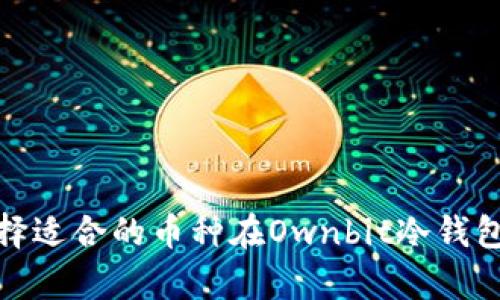 如何选择适合的币种在Ownbit冷钱包中存储