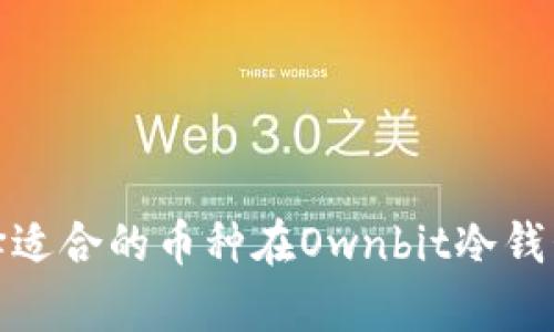 如何选择适合的币种在Ownbit冷钱包中存储