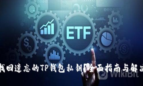 如何找回遗忘的TP钱包私钥?全面指南与解决方案