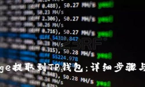 如何将Doge提取到TP钱包：详细步骤与注意事项