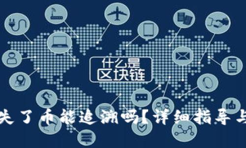 TP钱包丢失了币能追溯吗?详细指导与解决方案
