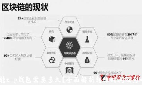 pig币转t p钱包需要多久?全面解析转账时间及影响因素