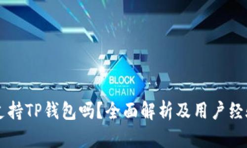 中国支持TP钱包吗？全面解析及用户经验分享
