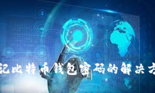 中本聪忘记比特币钱包密码的解决方案与建议