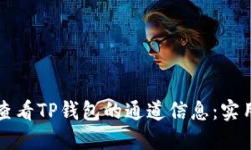 如何查看TP钱包的通道信息:实用指南