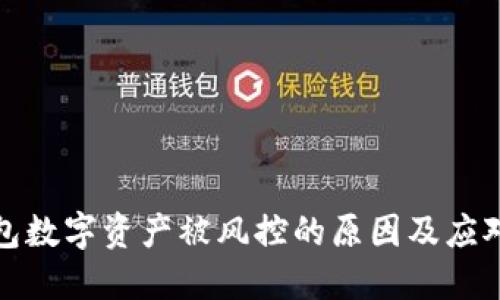 冷钱包数字资产被风控的原因及应对策略