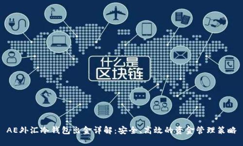 AE外汇冷钱包出金详解：安全、高效的资金管理策略