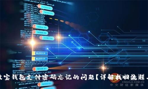 如何解决波宝钱包支付密码忘记的问题?详解找回流程与安全措施