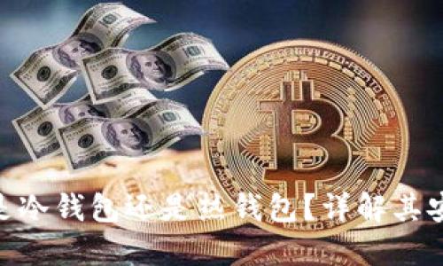 比特派揭秘:是冷钱包还是热钱包?详解其安全性与适用性
